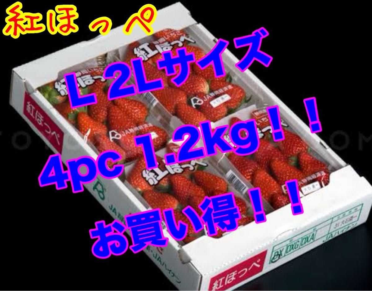 静岡県産 紅ほっぺ いちご 4pc 1.2kg 中粒 イチゴ 新鮮 生産農家直送 激安