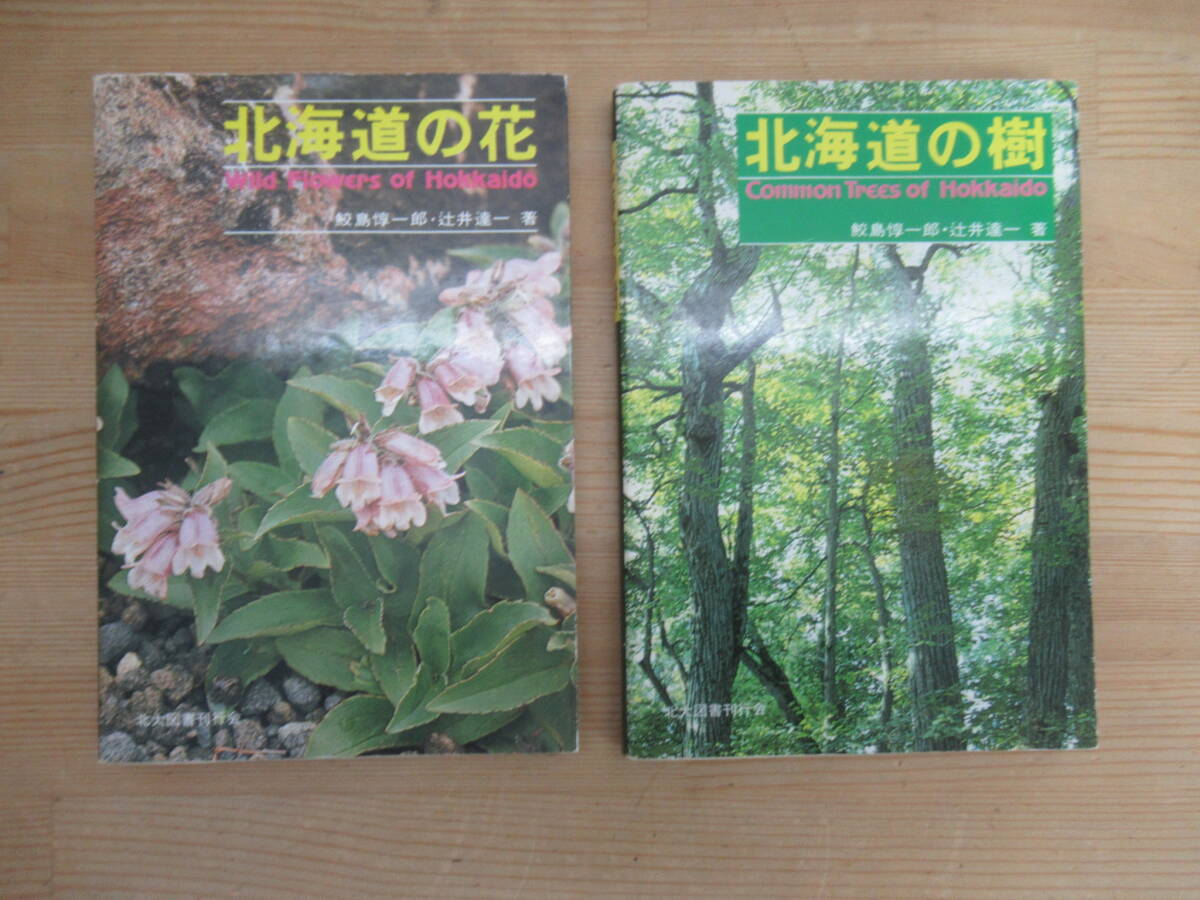 ｎ05◇ ２冊セット【北海道の樹・北海道の花】鮫島惇一郎・辻井達一著/北大図書刊行会/ナナカマド/エゾノヨロイクサ/エゾヤマザクラ/240317_画像1