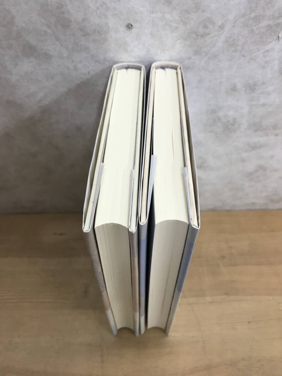 L55○【落款サイン本/初版】北方謙三 岳飛伝 6・9巻 2冊セット L55○【落款サイン本/初版】北方謙三 岳飛伝 6・9巻 2冊セット
