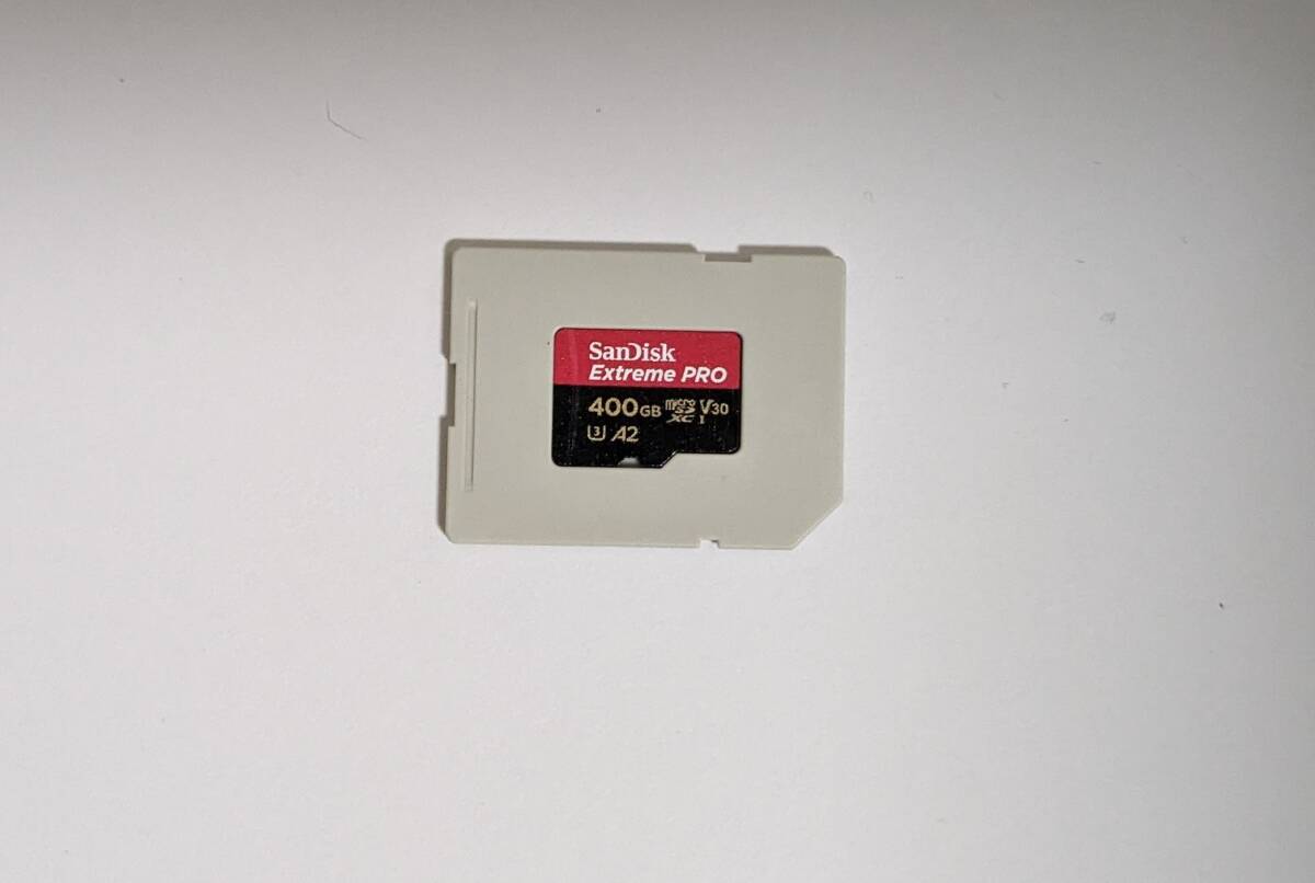 【送料無料】Nintendo Switch Lite ニンテンドースイッチライト グレー 保護フィルム ケース micoroSD 400GB (サンディスク)付き_microSD