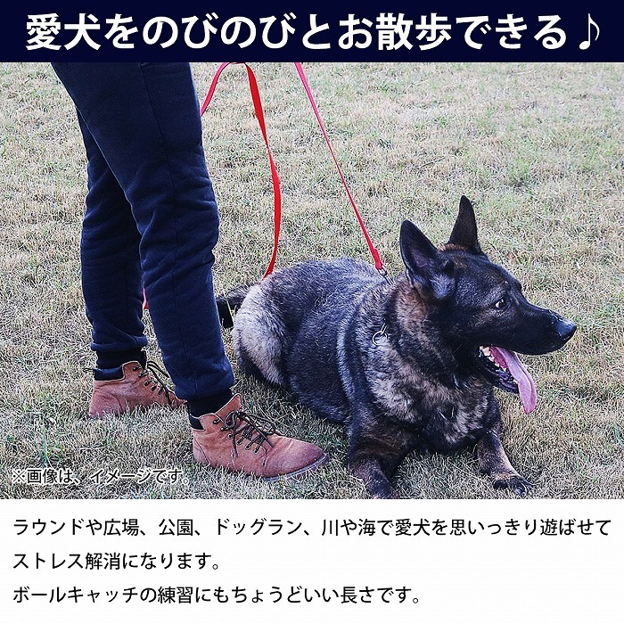 【送料無料】犬用 ロングリード 30m 幅2.5cm 耐荷重 50kg レッド 赤 ハーネス リード 散歩 紐 ナイロンベルト 小型 中型 大型犬 ペット 犬_画像2