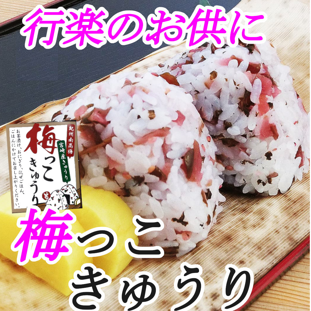 宮崎の漬物 梅っこきゅうり 130g×1袋 南高梅 カリカリ梅 宮崎県産 きゅうり ご飯のお供に おにぎりの具材に お茶漬けに 食欲増進 送料無料_画像4