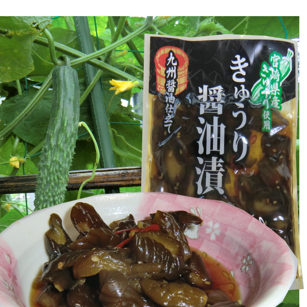 『きゅうり醤油漬』 100g×5袋 ご飯のお供 宮崎県産きゅうり おにぎり おかず カレーライスの付合せ お茶うけに お酒の肴 送料無料_画像3