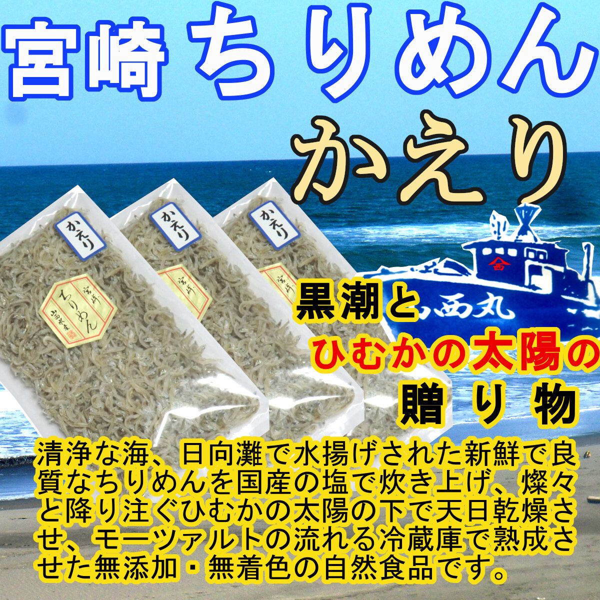 宮崎ちりめんかえり 100g×3袋 黒潮と日向の太陽の贈物 カルシウムの補給源 ちりめんじゃこ 山西水産 天日干し ご飯のお供 トッピングの画像1