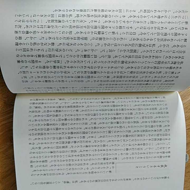 【送料無料】世界という学校をめざして！ マルタ島での出逢い、そして大切なもの 柳澤隆規 新風舎 2004年 ヨーロッパ 海外旅行 エッセイ　_画像9