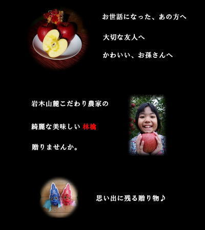 贈答用 りんご サンふじ リンゴ 林檎 3kg 青森産 葉とらず フジ 富士 冨士_画像3