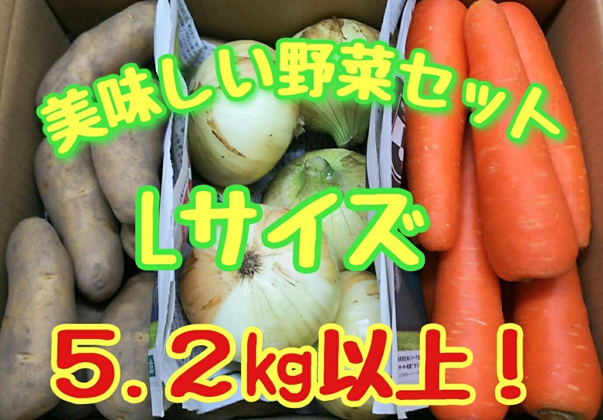 美味しい野菜セット！Lサイズ！5.２㎏以上！常備野菜！！