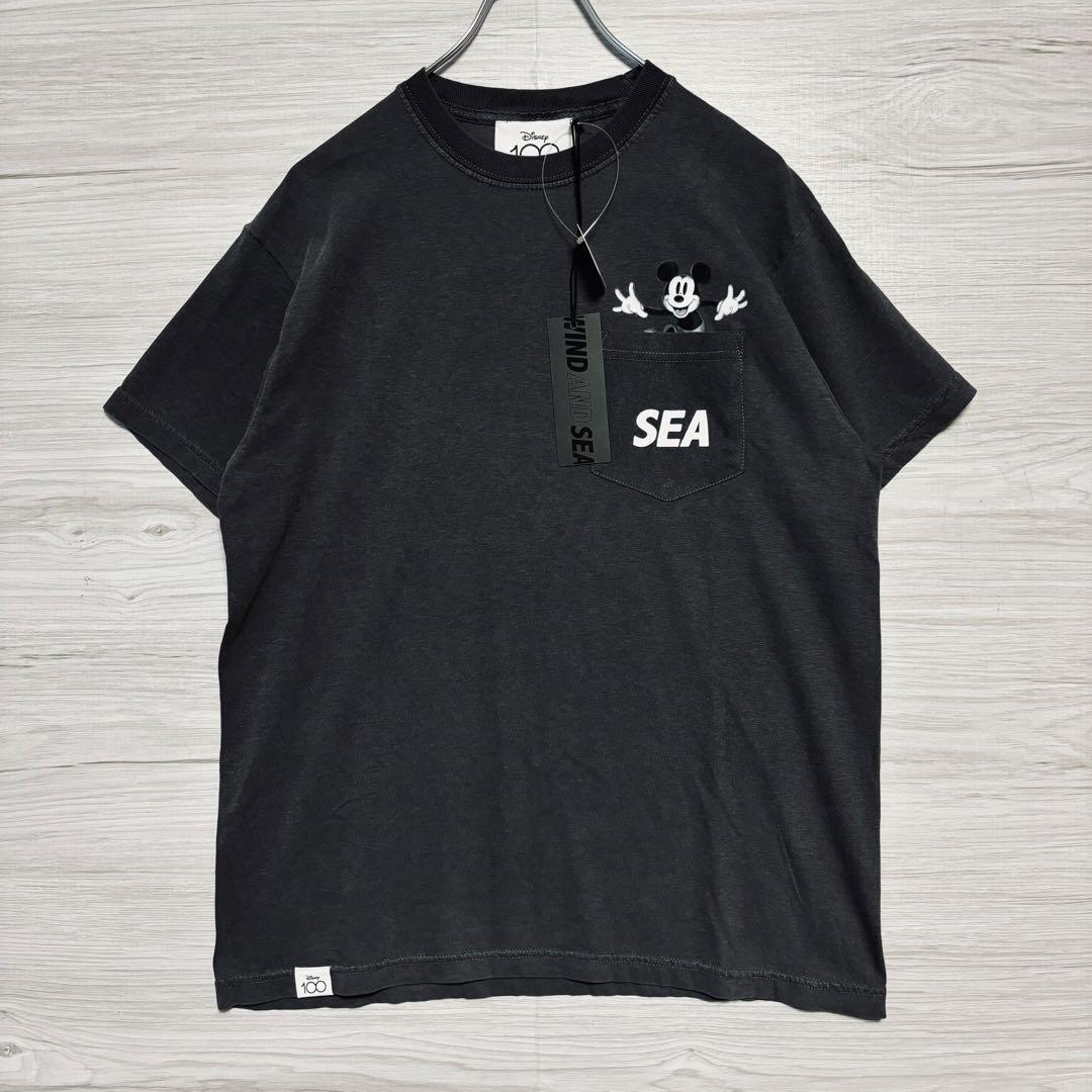 タグ付き】WIND AND SEA ウィンダンシー Disney ディズニー 100 タグ付き】WIND AND SEA ウィンダンシー Disney ディズニー 100