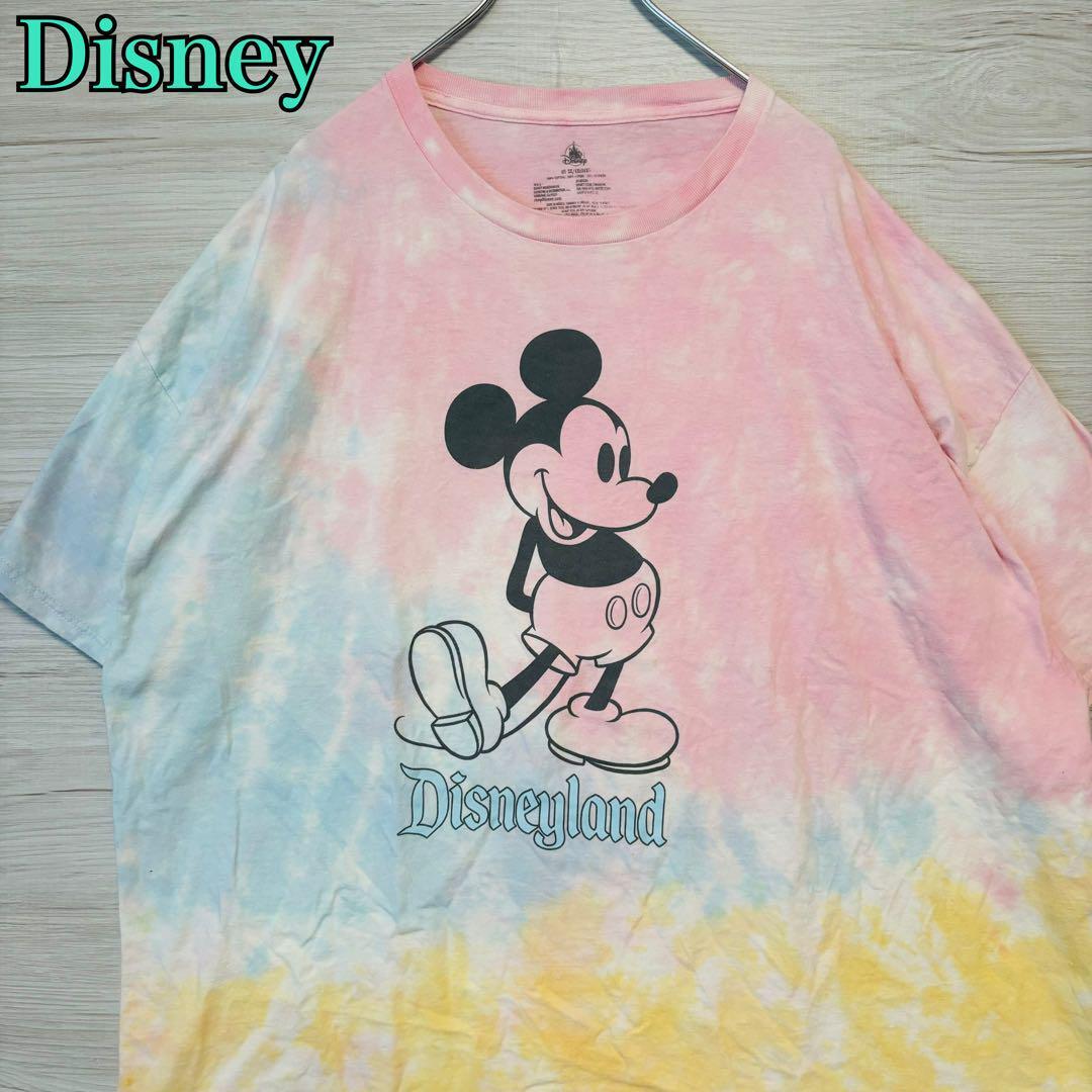 【入手困難】Disney ディズニー　アラジン　ジャスミン　Tシャツ　2XLサイズ　半袖 海外　入手困難　一点物　キャラクター　ゆったり_画像1