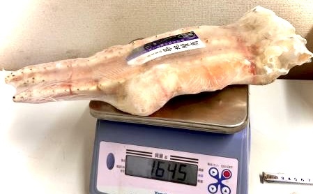 特大【7L】タラバ蟹　^_^/生食用ボイルタラバカニ　シュリンクパック　7Lサイズ　1.5kg_画像9