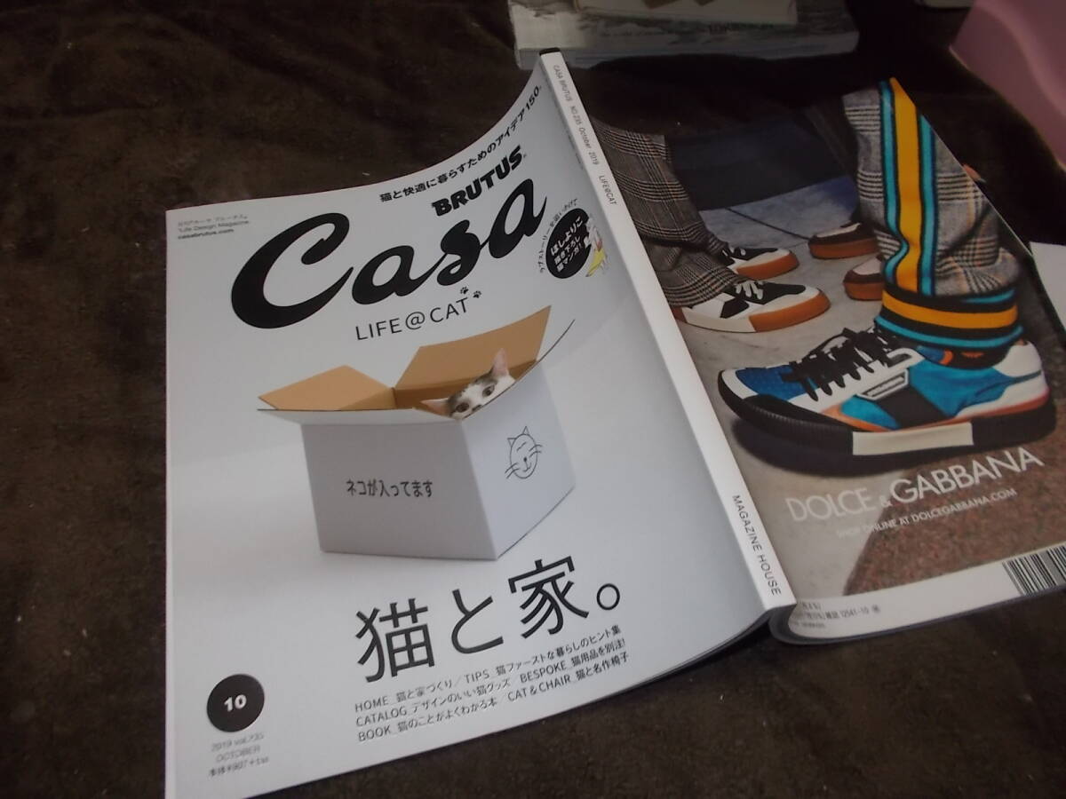 Casa Brutus カーサ ブルータス　2019年10月号　猫と家。(送料160円)　ほしよりこ描き下ろし猫マンガ！_画像1