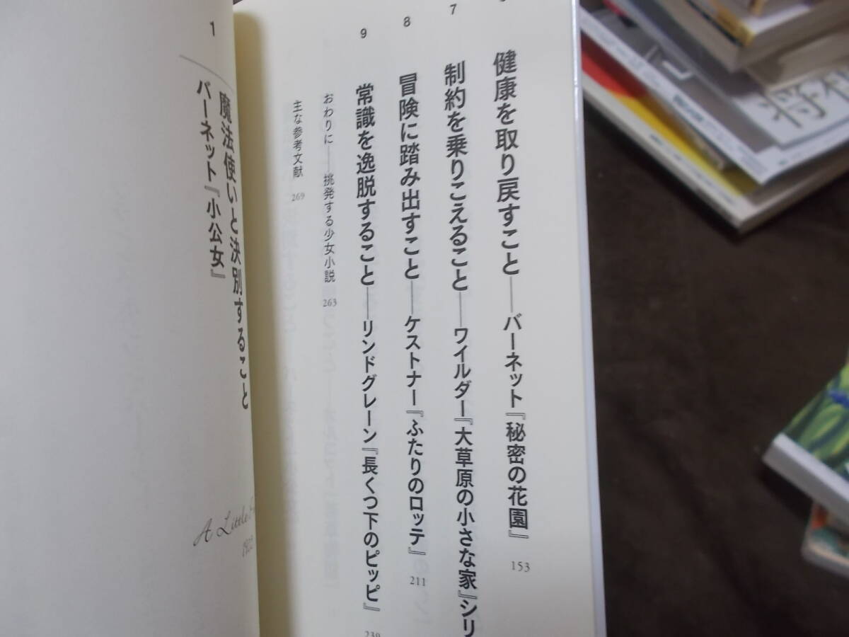 挑発する少女小説　斎藤美奈子(河出新書2021年)送料114円　赤毛のアン、ハイジ、若草物語他考察_画像5