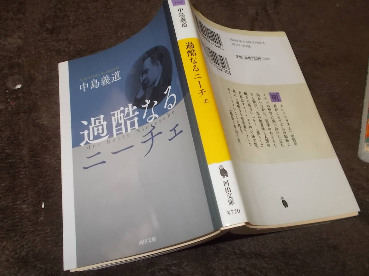 過酷なるニーチェ　中島義道(河出文庫2016年)送料114円　注！_画像1