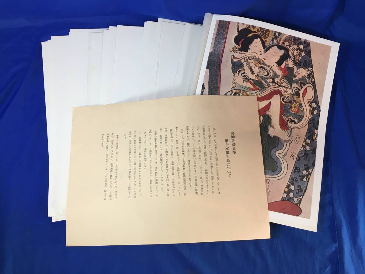 Yahoo!オークション - レZ73サ 葛飾北斎 真筆献上本 波千鳥 全12 Yahoo!オークション - レZ73サ 葛飾北斎 真筆献上本 波千鳥 全12