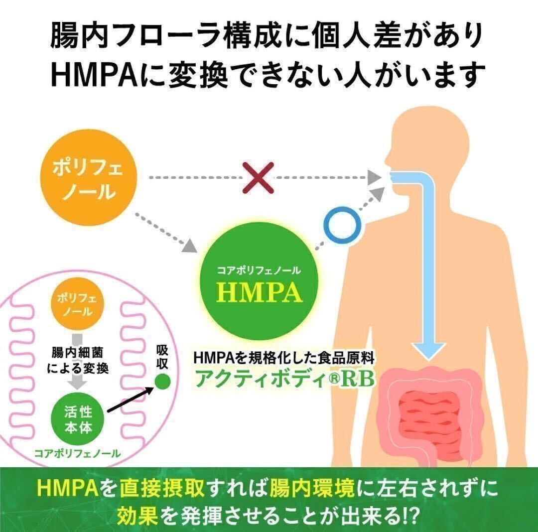 ★送料無料★BMIと血糖値 機能性表示食品 約2ヶ月分(1ヶ月分30粒入×2袋) サプリメント シードコムス HMPA ダイエット ブラックジンジャー