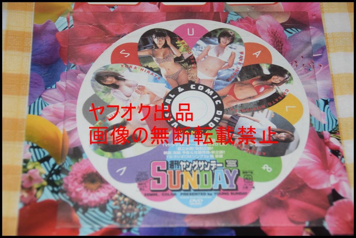 ◎ヤングサンデー◎佐藤寛子◎井上和香◎森下千里◎安倍麻美◎平田裕香◎仲根かすみ◎付録DVD◎未開封◎_画像1