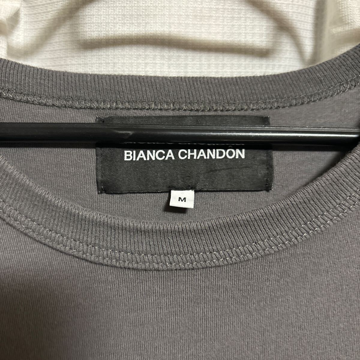 BIANCA CHANDON 半袖 Tシャツ サイズ表示M supremeの画像2