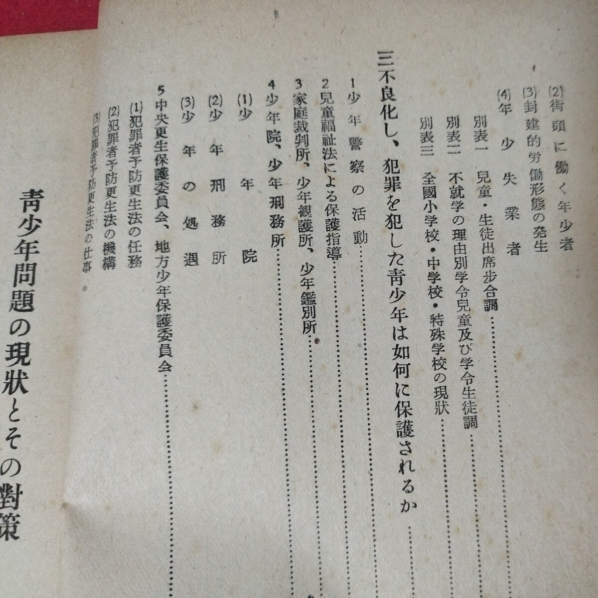 青少年問題の現状とその対策　昭和24年　教育学文部科学省学校教育　検） 古書和書古文書写本古本OF_画像5