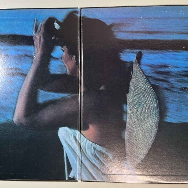 39484★美盤【日本盤】 LINDA RONSTADT / Hasten Down the Wind ※帯付きの画像2