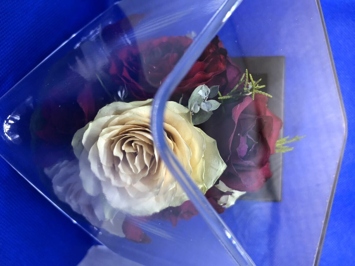  весна. Len te поток ru праздник # 2 Reine De Fleur производства каждый сторона 12cm стекло Cube роза сухой цветок | подставка установка час высота 22cm прекрасный товар 