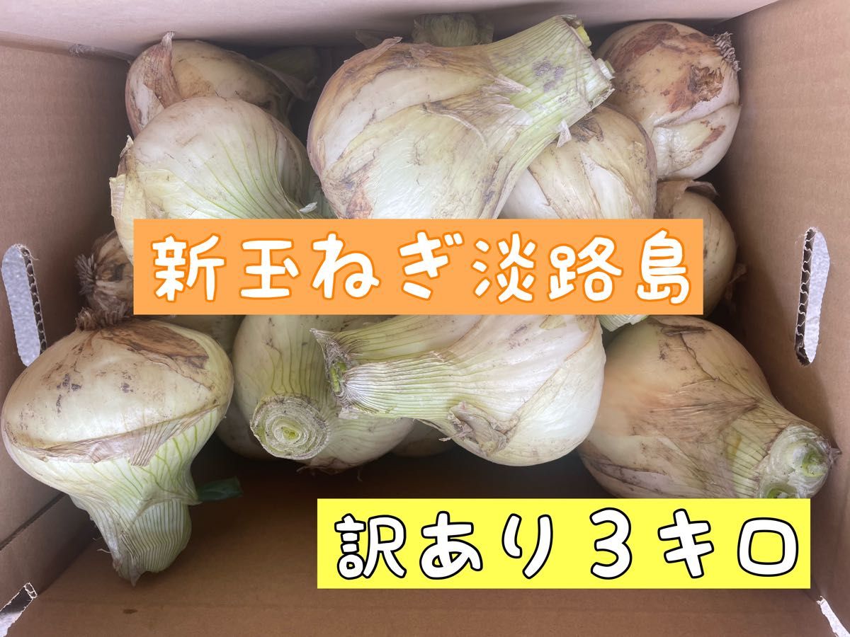 新玉ねぎ 淡路島 訳あり３キロ - 野菜
