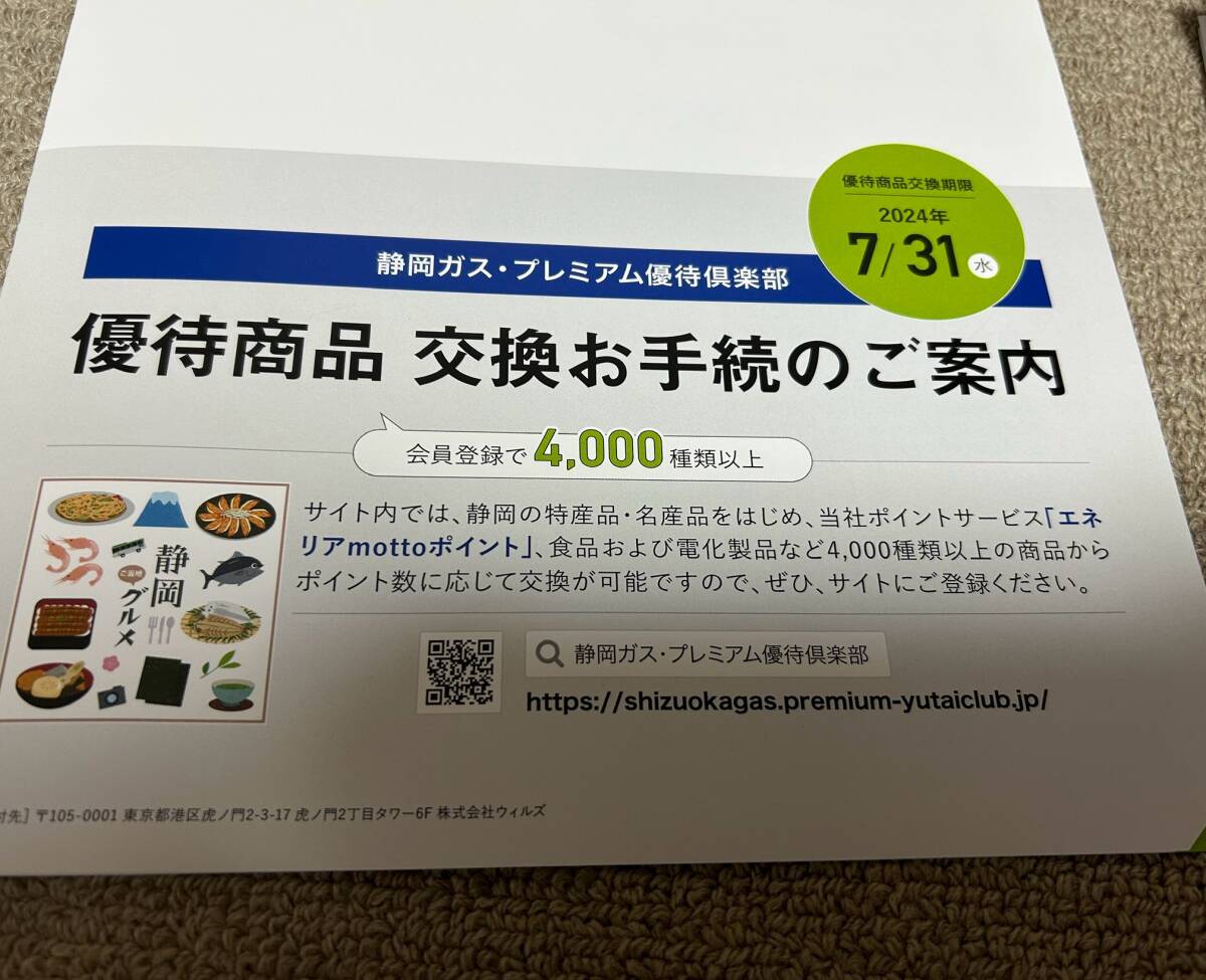 送料無料 静岡ガス 株主優待 ギフトカタログの画像1