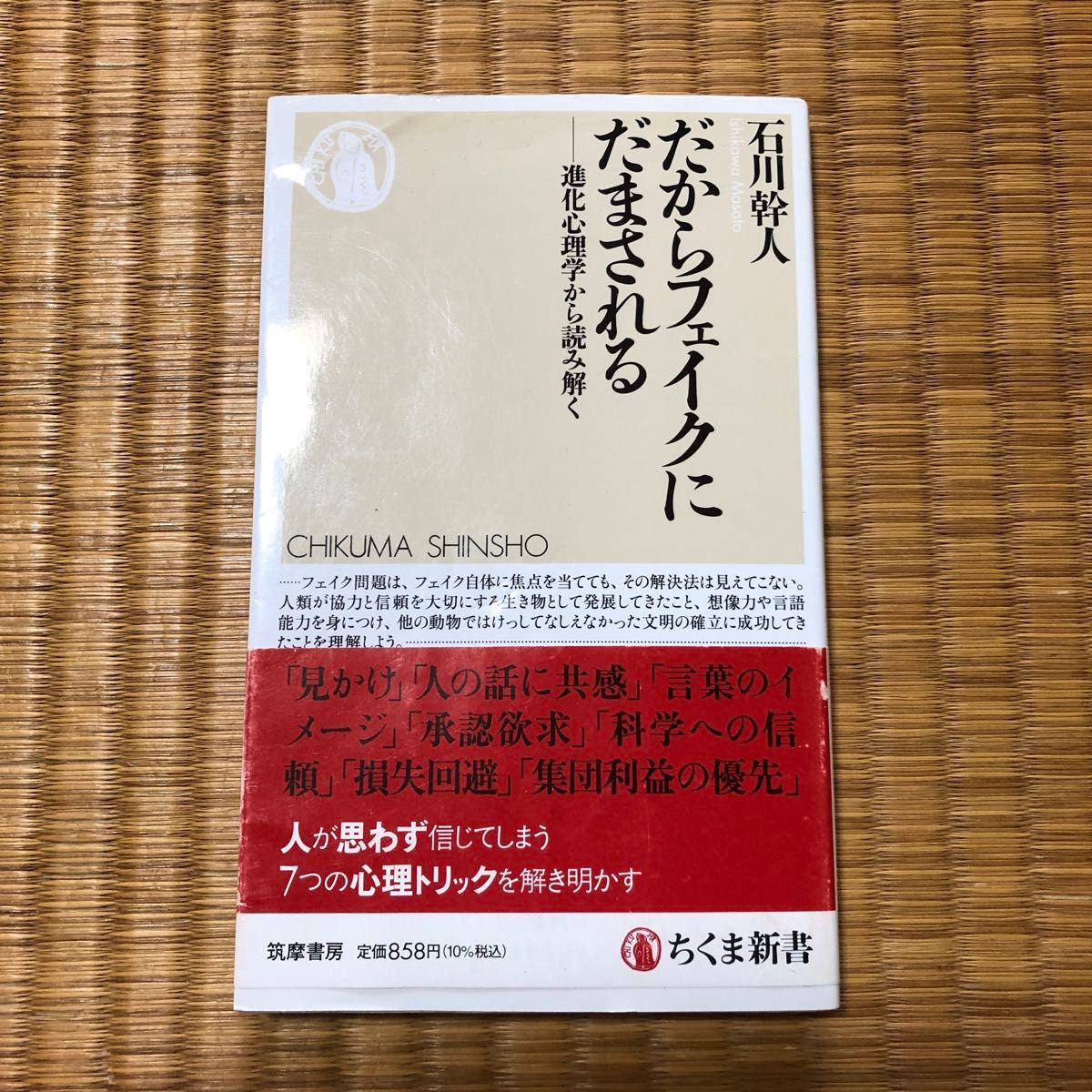 だからフェイクにだまされる　石川幹人