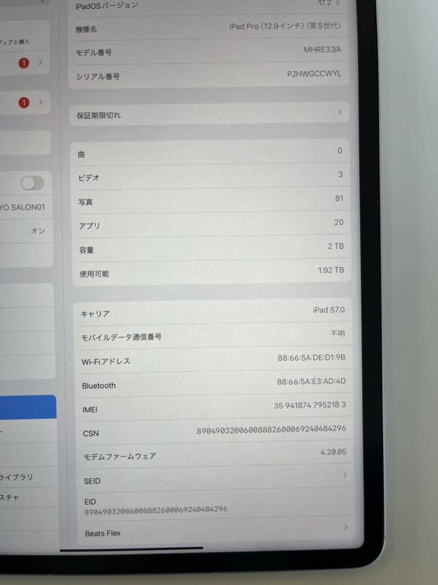 iPad Pro 12.9 第5世代　Cellular シルバー 2TB_画像6