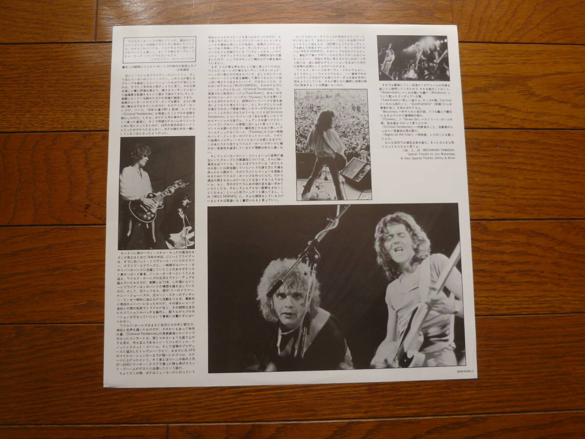 LP ワイルド・ホーシズ　ファースト・アルバム　WILD HORSES_画像6