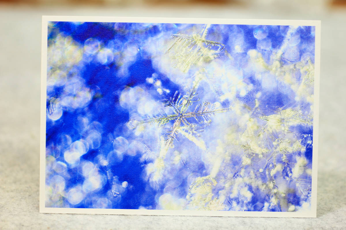 ☆ポストカード集 『雪の結晶』 10枚組 北海道で撮影した雪の結晶の写真のポストカード from 丘のうえの小さな写真館!!_画像6