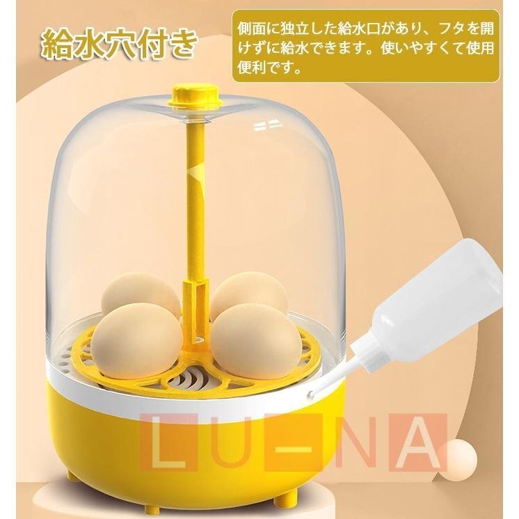  automatic . egg vessel automatic rotation egg in kyu Beta - inspection egg LED light automatic temperature control digital display .. proportion up small size birds exclusive use home use child education for 4 piece 