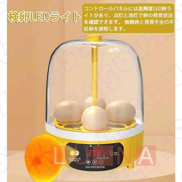  automatic . egg vessel automatic rotation egg in kyu Beta - inspection egg LED light automatic temperature control digital display .. proportion up small size birds exclusive use home use child education for 4 piece 