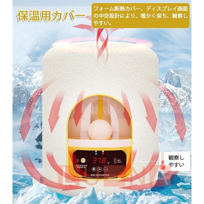  automatic . egg vessel automatic rotation egg in kyu Beta - inspection egg LED light automatic temperature control digital display .. proportion up small size birds exclusive use home use child education for 4 piece 