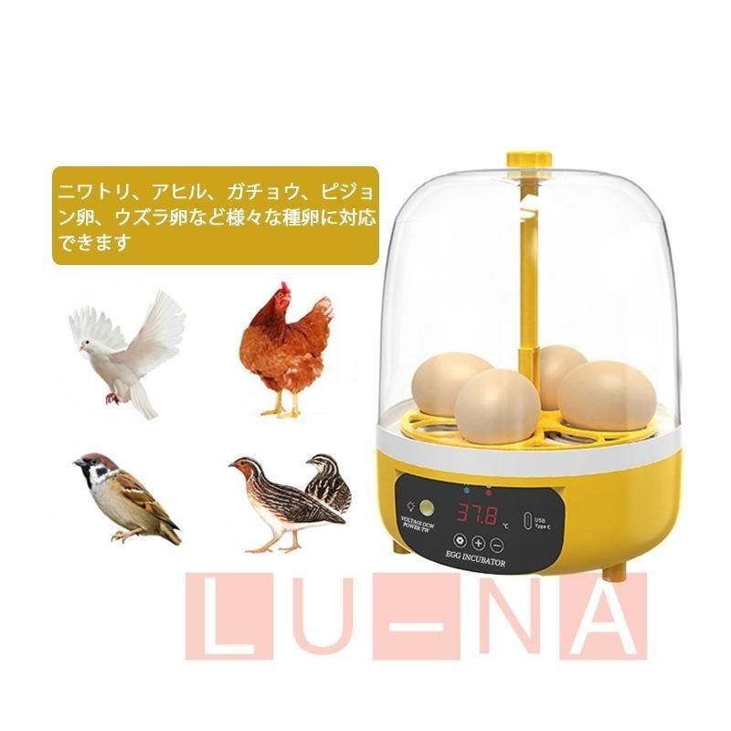  automatic . egg vessel automatic rotation egg in kyu Beta - inspection egg LED light automatic temperature control digital display .. proportion up small size birds exclusive use home use child education for 4 piece 