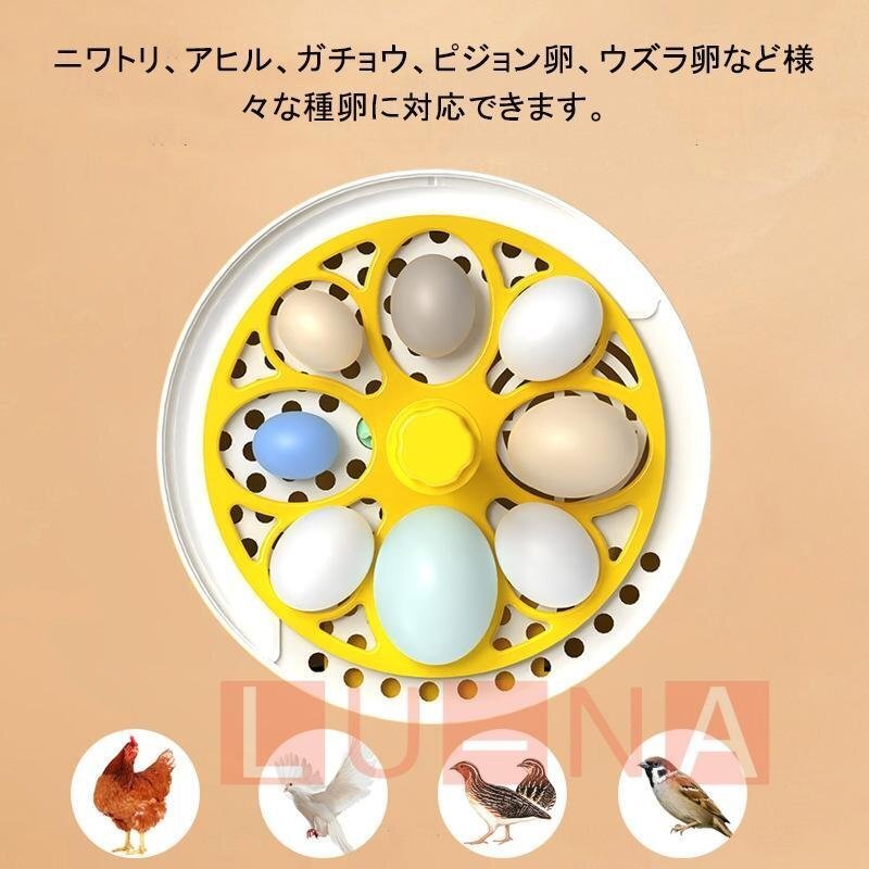  automatic . egg vessel automatic rotation egg in kyu Beta - inspection egg LED light automatic temperature control digital display .. proportion up small size birds exclusive use home use child education for 4 piece 