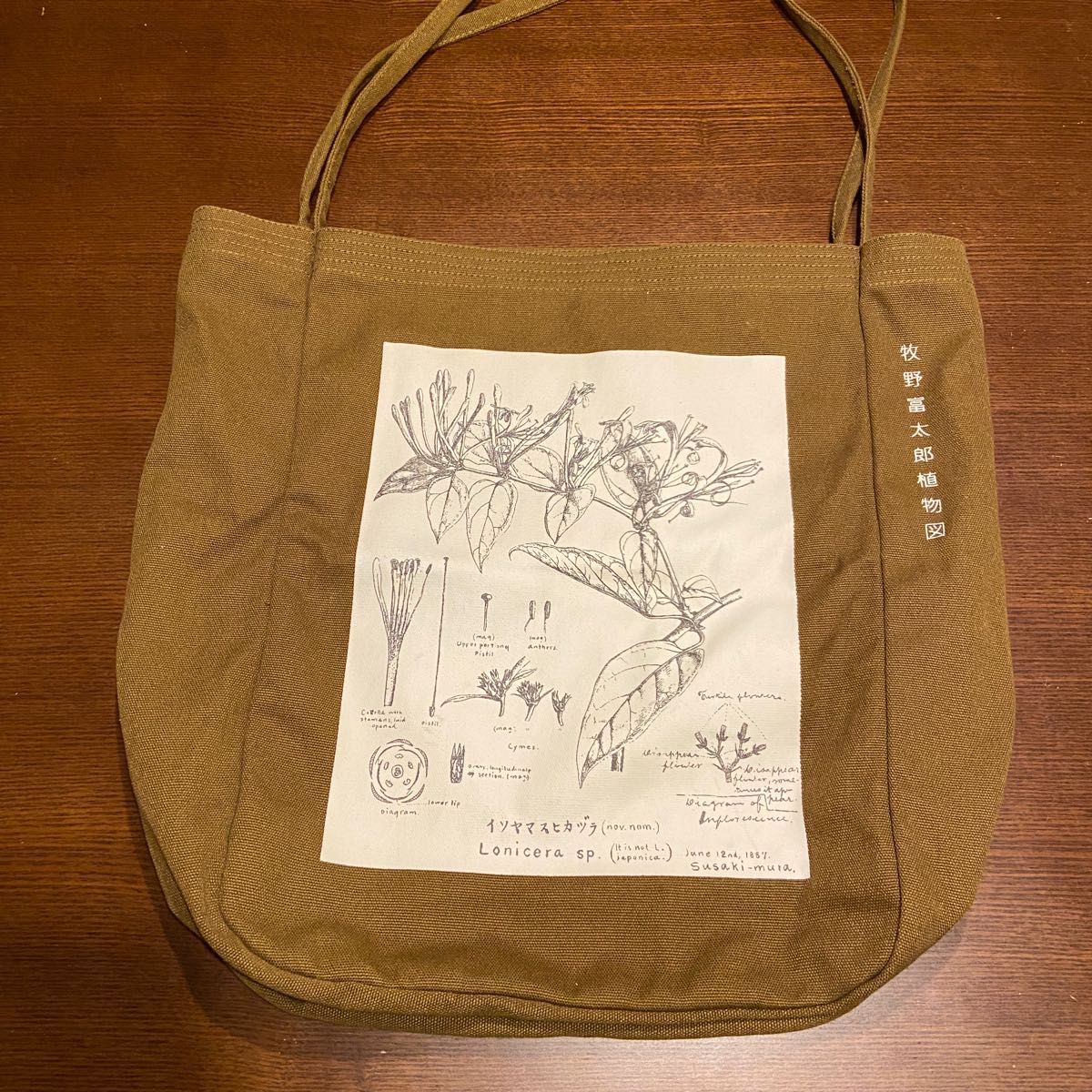 牧野植物園×ＩＥＤＩＴ　牧野博士の描いたキダチニンドウのトートバッグ