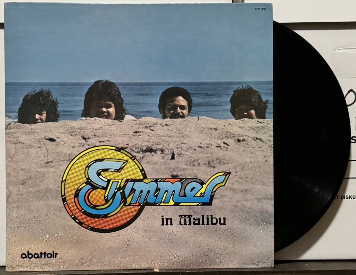 AOR Hawaii LP Mellow Hawaiian Summer/In Malibu Гаваи запись 