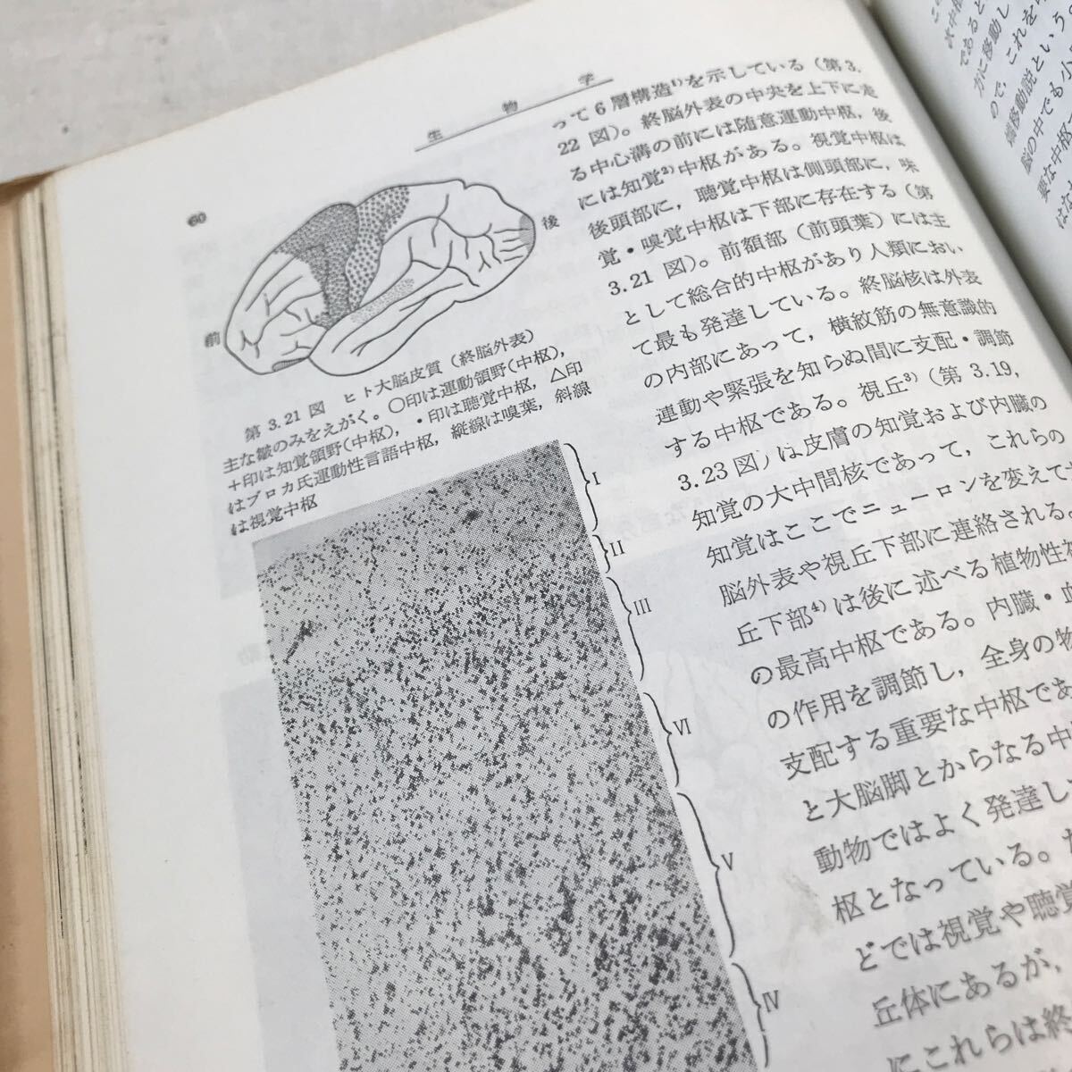 B07◎ 一般教育　生物学　1964年1月発行　大學自然科学教育研究会　東京数学社　生命の起源/細胞の構造と生理/遺伝の法則　◎240318_画像9