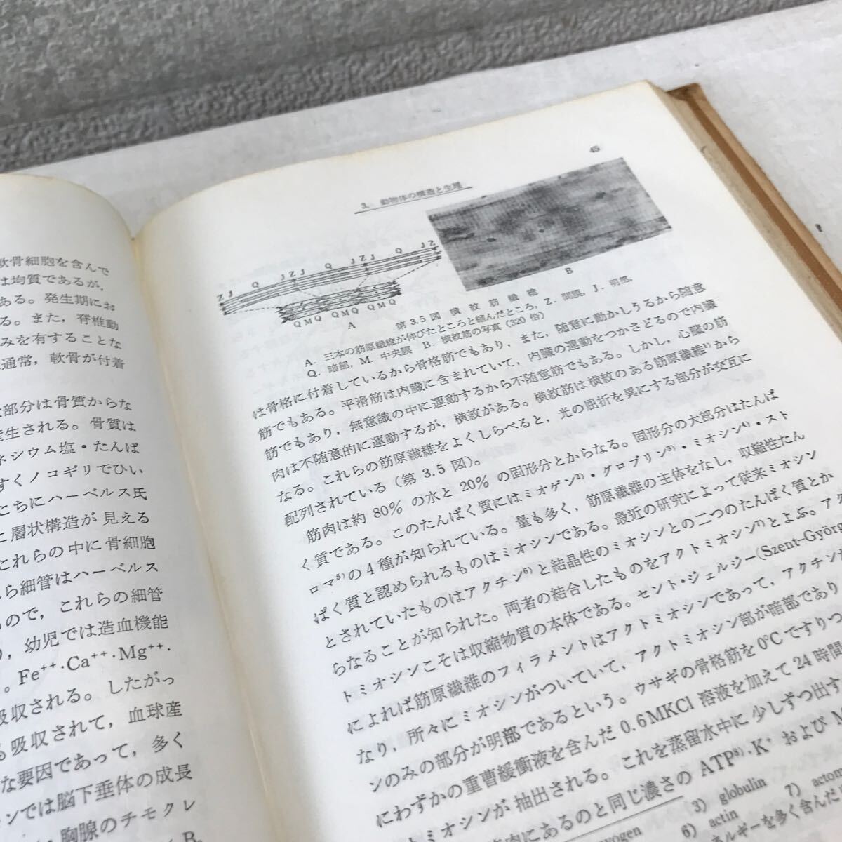 B07◎ 一般教育　生物学　1964年1月発行　大學自然科学教育研究会　東京数学社　生命の起源/細胞の構造と生理/遺伝の法則　◎240318_画像7