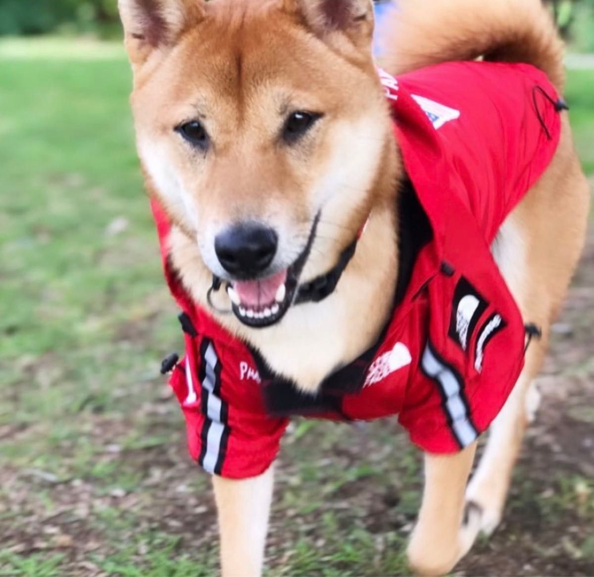 レインコート中型犬 犬 服 おしゃれドックウェア カッパ 【レッド】3XL