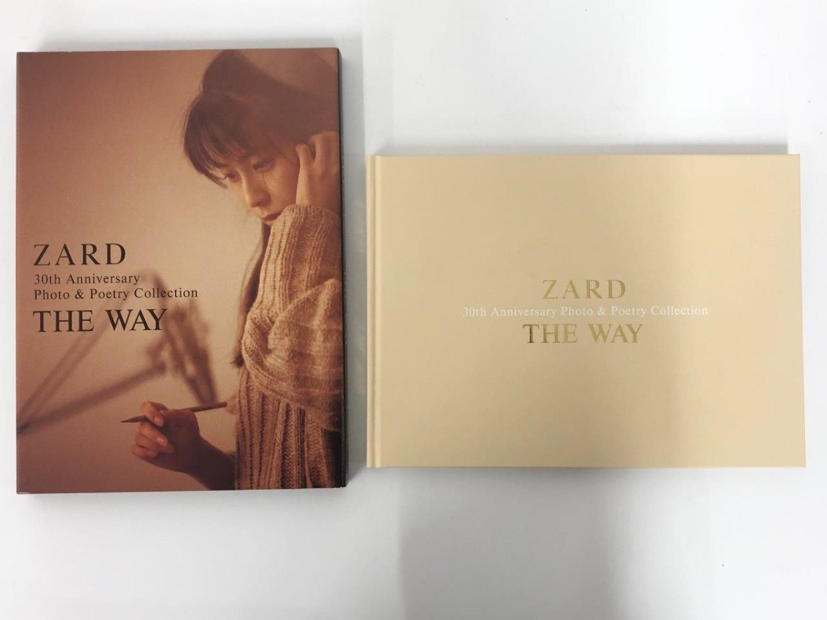 * [ZARD 30th Anniversary Photo & Poetry Collection ~THE WAY~ обычная версия склон . Izumi вода ]167-02403