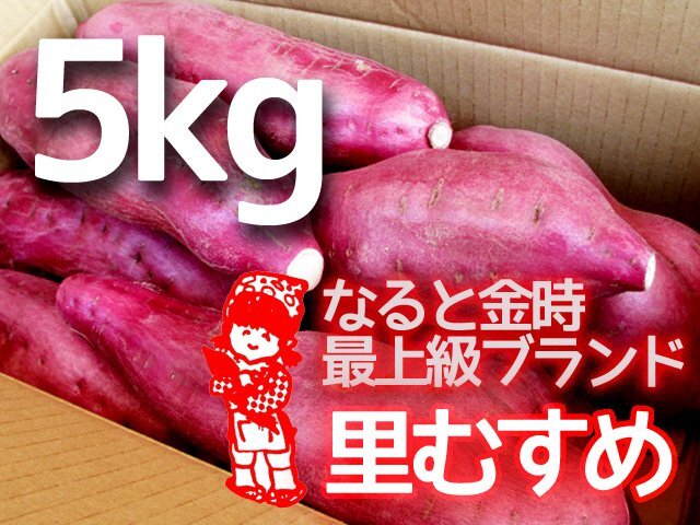 【わけ有】【5ｋｇ】わけあり大放出特価品！　徳島県里浦産　なると金時Ｂ3L~2L　5ｋｇ箱　さつまいも　サツマイモ　薩摩　芋_画像1