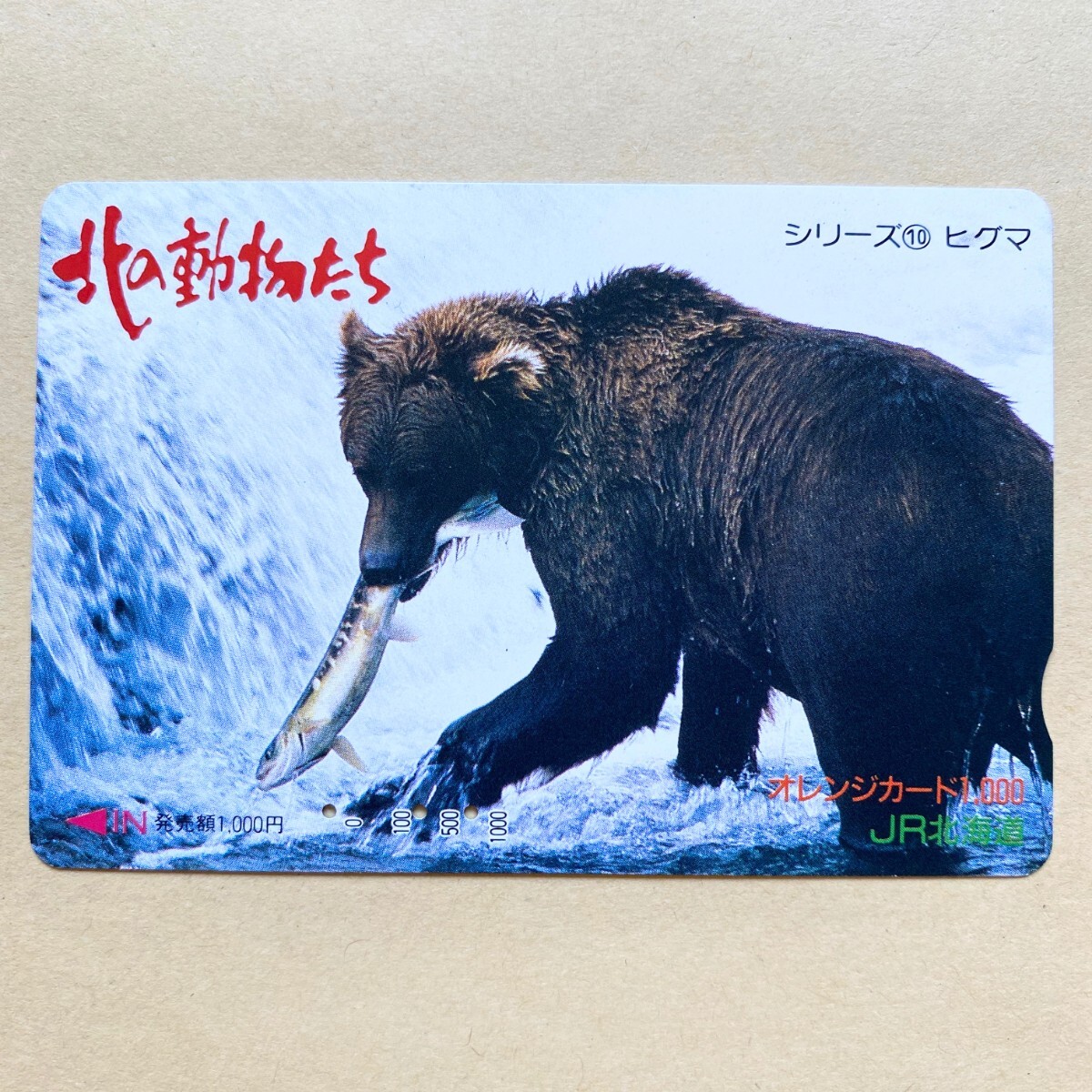 【使用済】 オレンジカード JR北海道 北の動物たち シリーズ⑩ ヒグマ_画像1