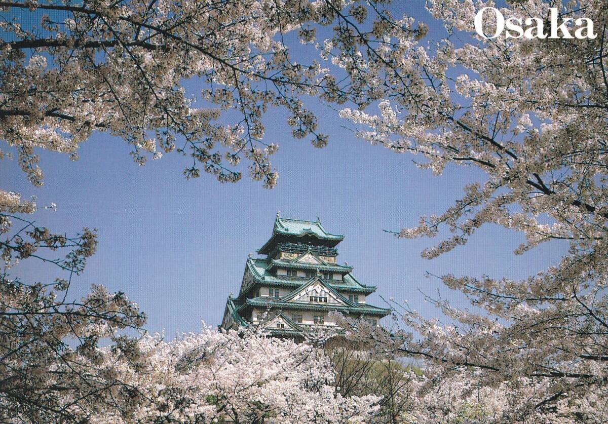 大阪城　桜　絵はがき　ポストカード　_画像1
