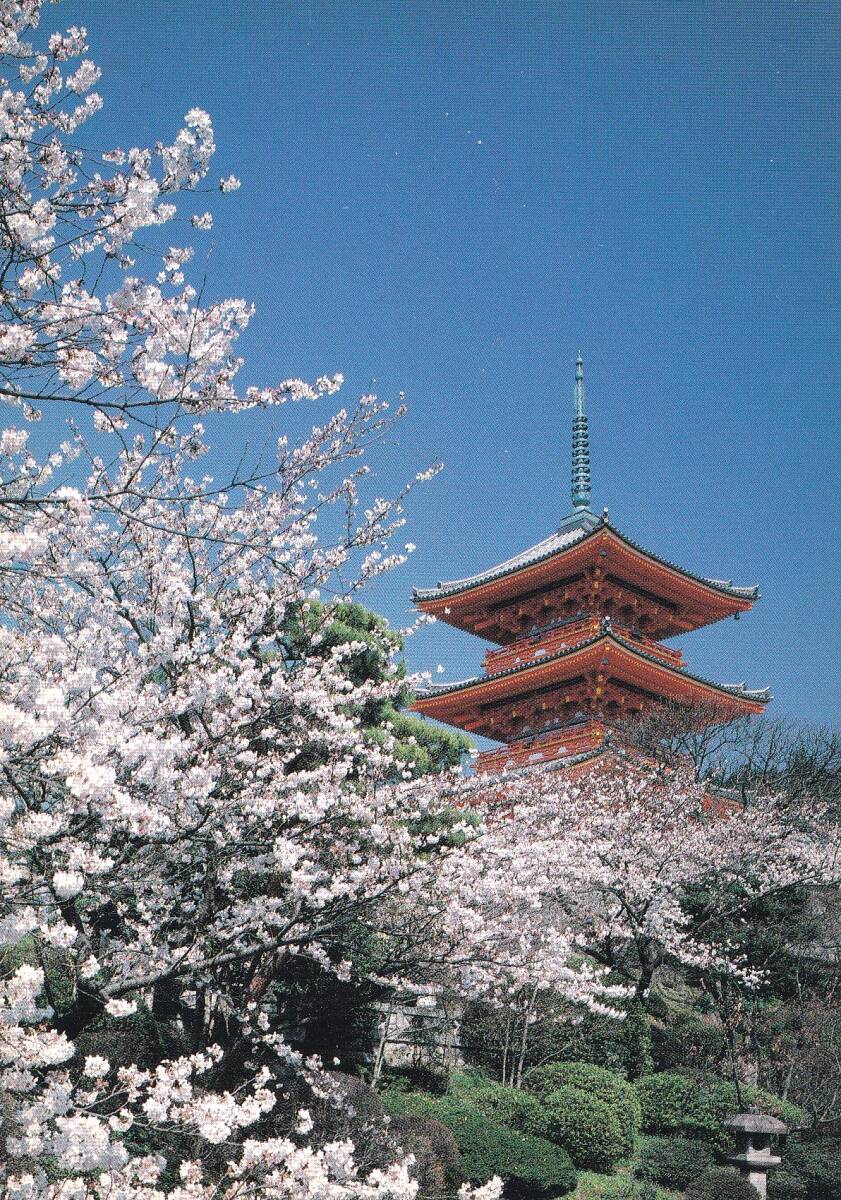 清水寺　京都　三重塔　桜　絵はがき　ポストカード　_画像1