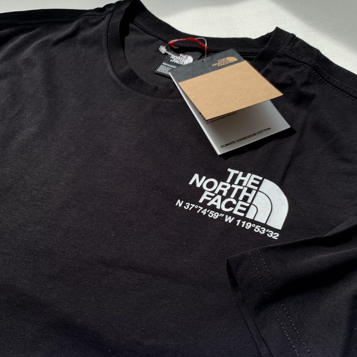 L 新品 ノースフェイス THE NORTH FACE COORDINATES TEE ロゴ ハーフドーム 座標 半袖 Tシャツ 黒 メンズ 海外企画 日本未入荷 送料無料の画像4