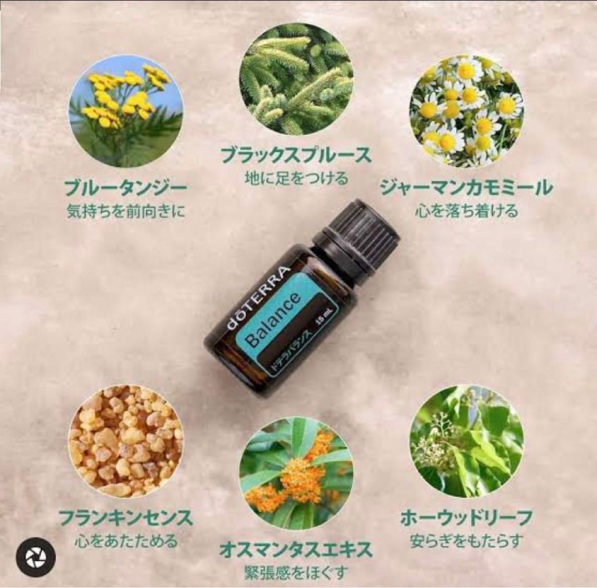 doTERRA ドテラ　ココナッツオイル& バランス　セット