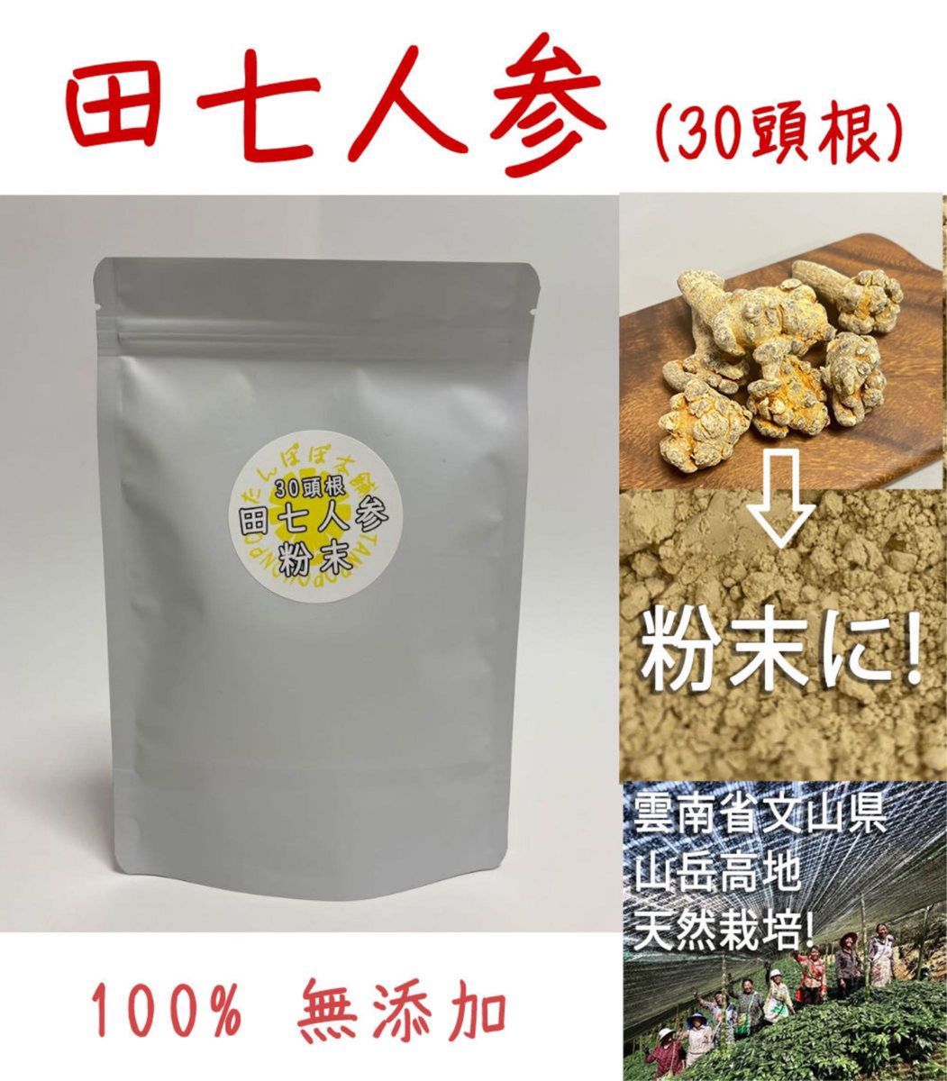 雲南省産田七人参粉末30頭根 100g 三七人参 パウダー無添加　原料そのまま 田七人参