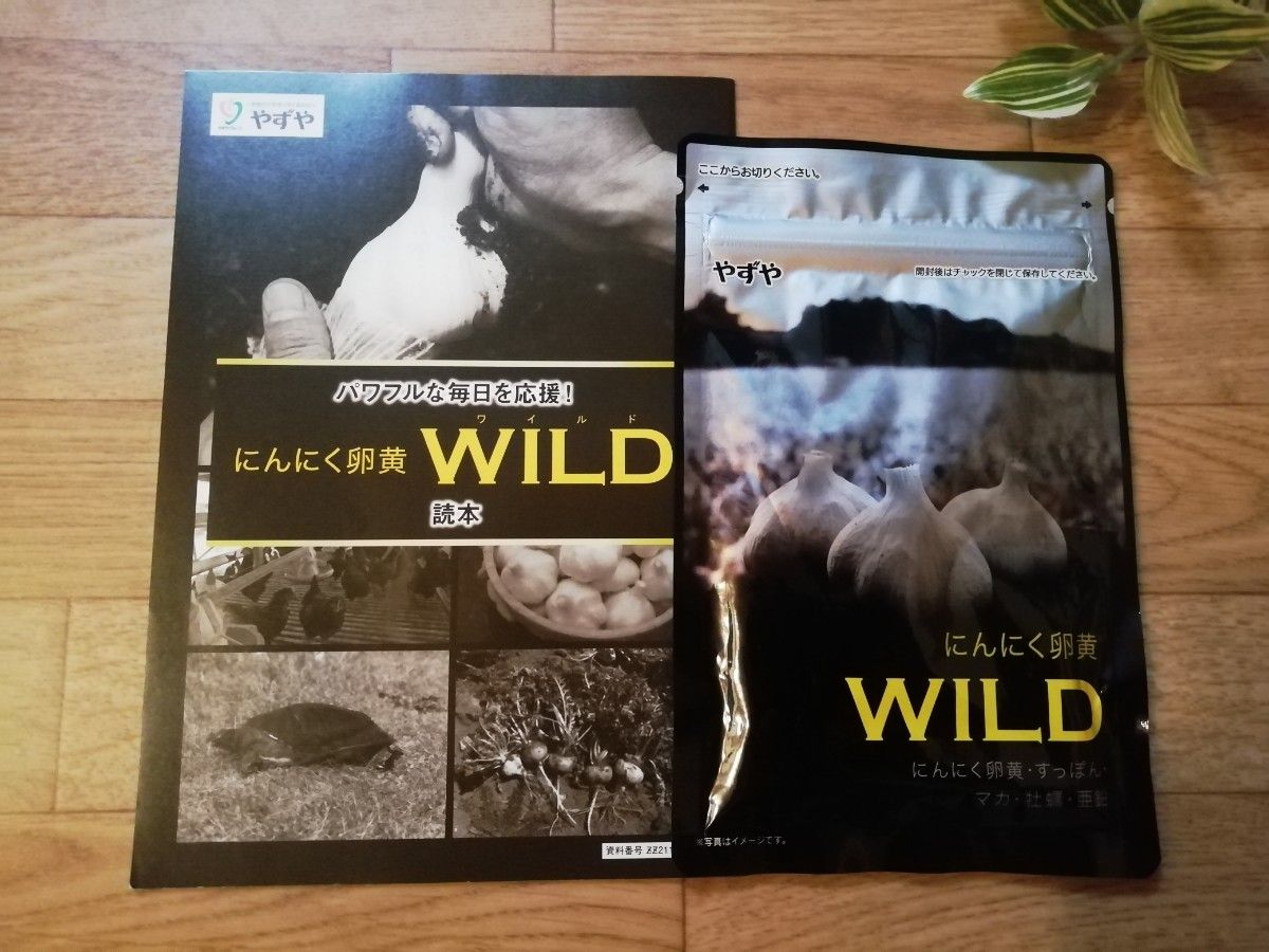 ★やずや★ にんにく卵黄WILD★62球×1袋 新品未開封 ♪