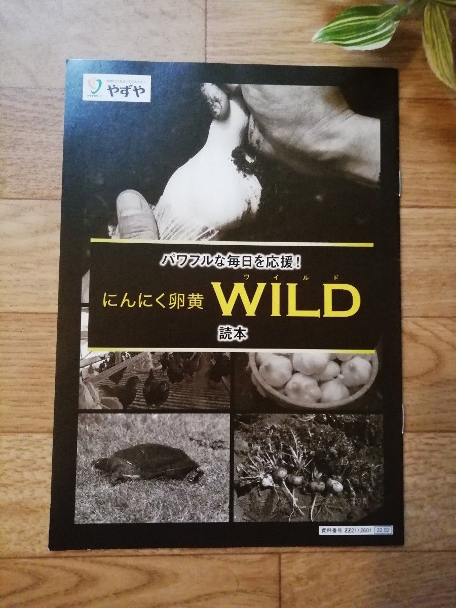 ★やずや★ にんにく卵黄WILD★62球×1袋 新品未開封 ♪